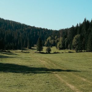 Photo by Renaud Arnaudet a grassy field with trees in the background